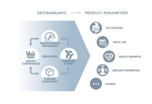 Probiotics: the importance of the complete product 2 larson probiotics