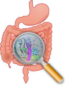 I have IBS – should I have my microbiome tested? 6 intestinal party