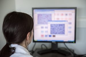 The small intestinal 'mysteriome': A potentially important but uncharted microbiome 3 ISAPP LAB 088