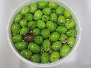 Growing interest in beneficial microbes and fermented foods in Argentina 4 IMG 0235