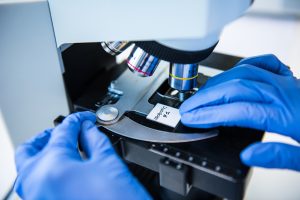 Hear from ISAPP board members in webinar covering probiotic and prebiotic mechanisms of action 4 ISAPP LAB 029