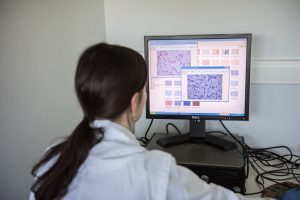 New names for important probiotic Lactobacillus species 3 ISAPP LAB 089