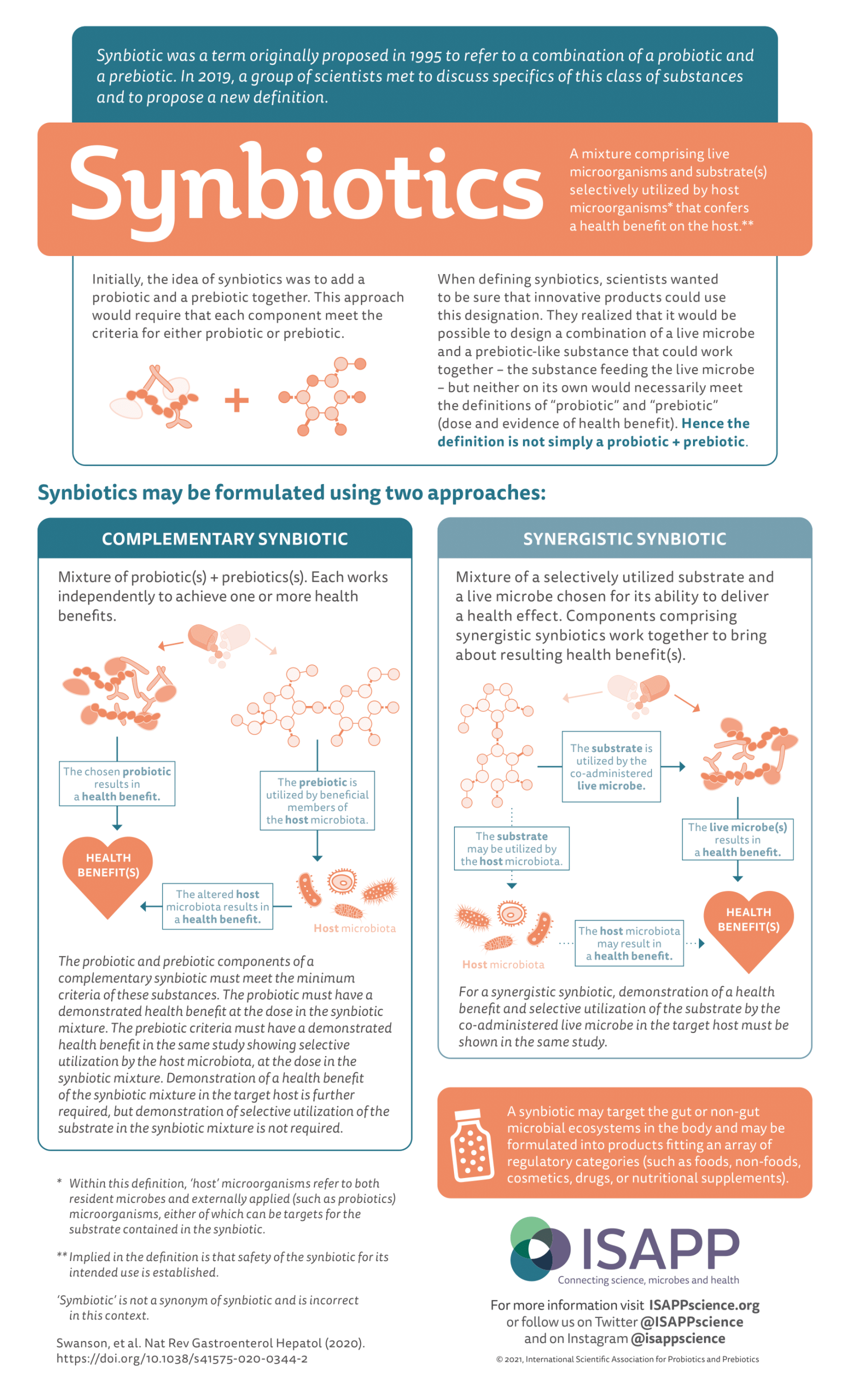 Synbiotics infographic scaled