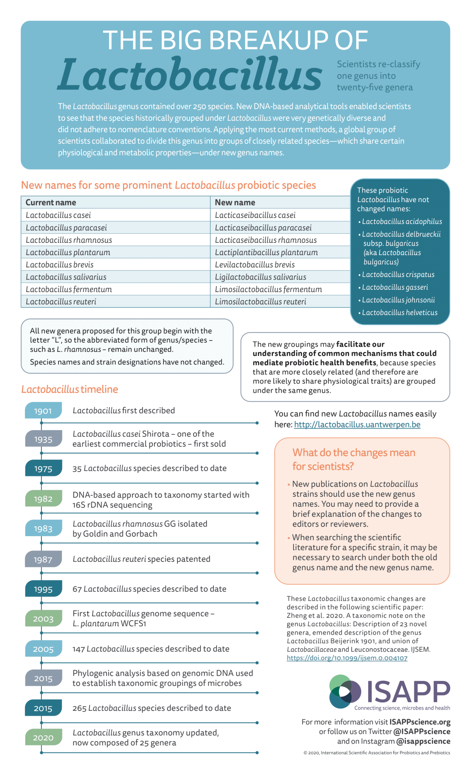 Lactobacillus scientist linked scaled