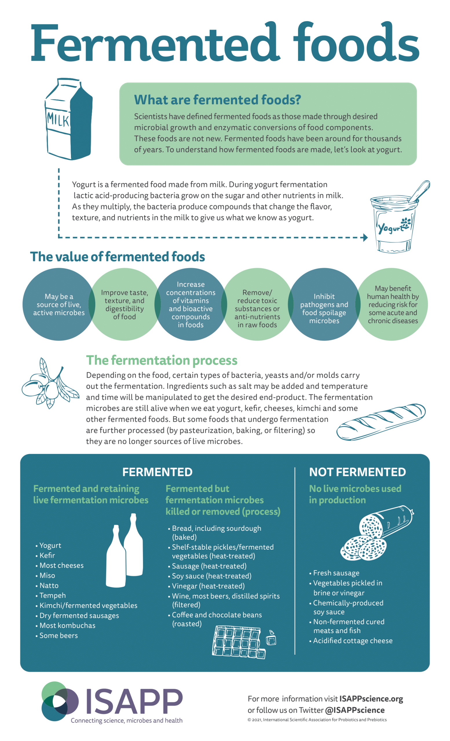 FermentedFoods outline rev1029 scaled