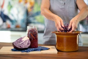 New ISAPP Webinar: Fermented Foods and Health — Continuing Education Credit Available for Dietitians 2 ISAPP35