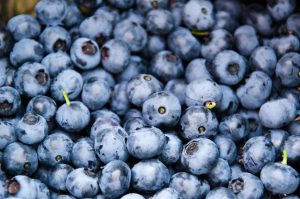 Do polyphenols qualify as prebiotics? The latest scientific perspectives 1 blueberries creative commons