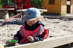 Shaping microbial exposures and the immune system in childhood: Can sandboxes be probiotic? 3 sandbox