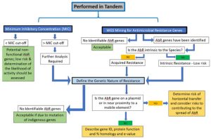 Considerations for determining safety of probiotics: A USP perspective 2 safety publication