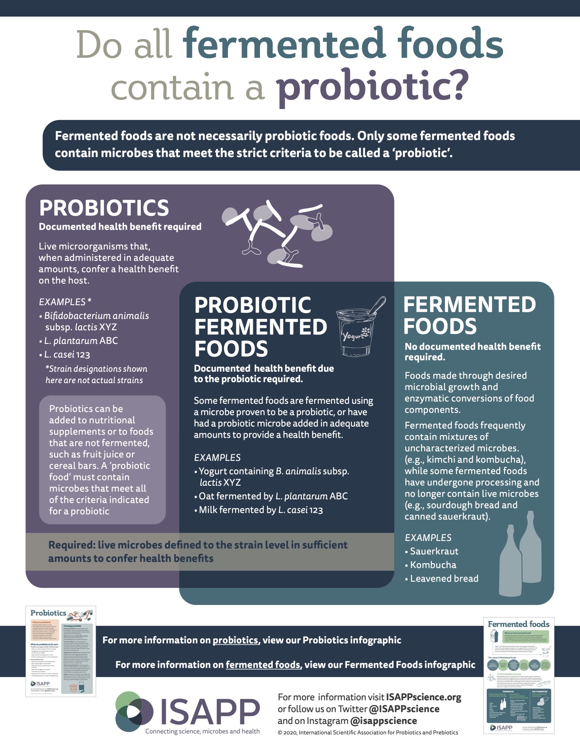 ProbioticsvsFermentedFoods scaled