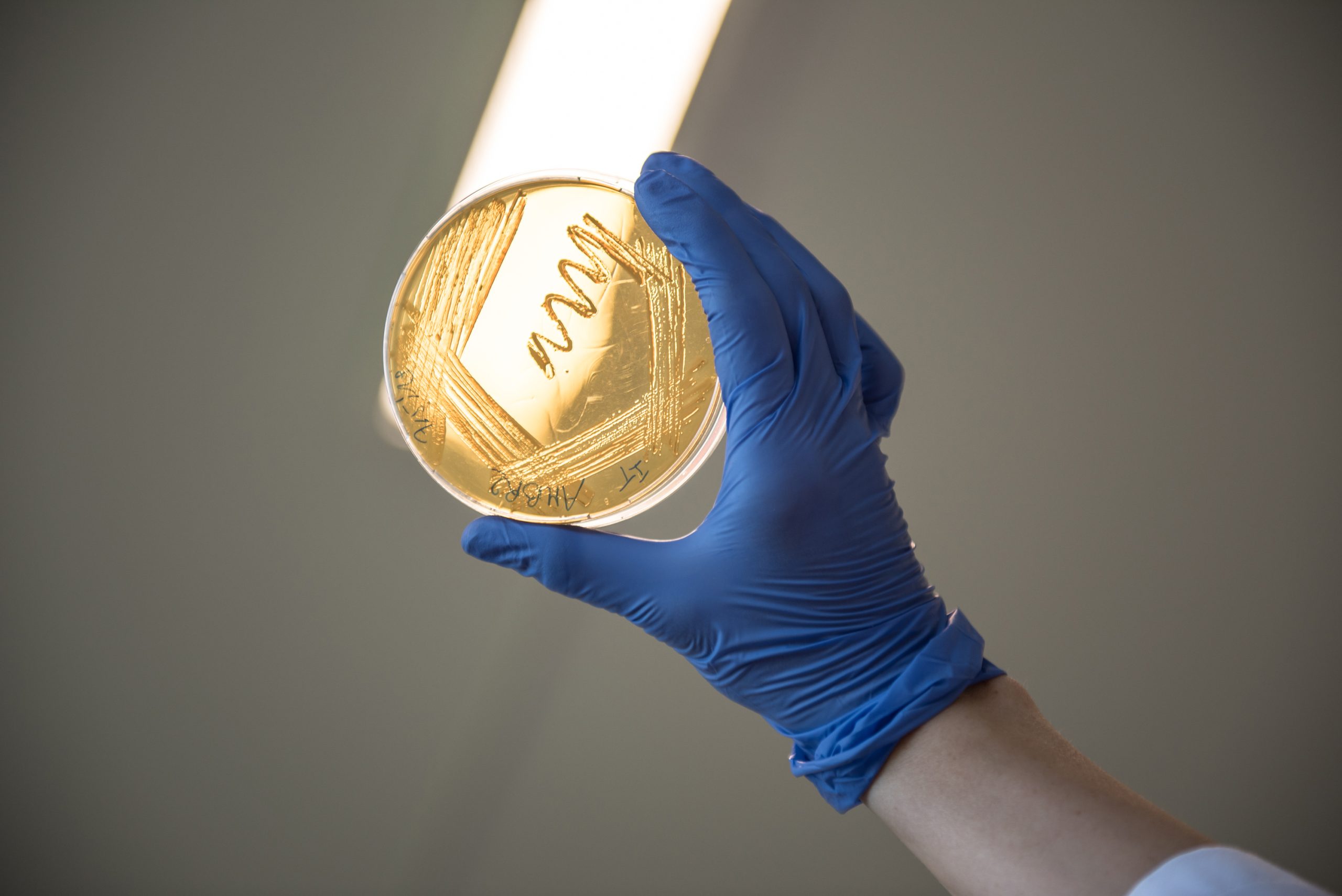 ISAPP LAB 043 scaled