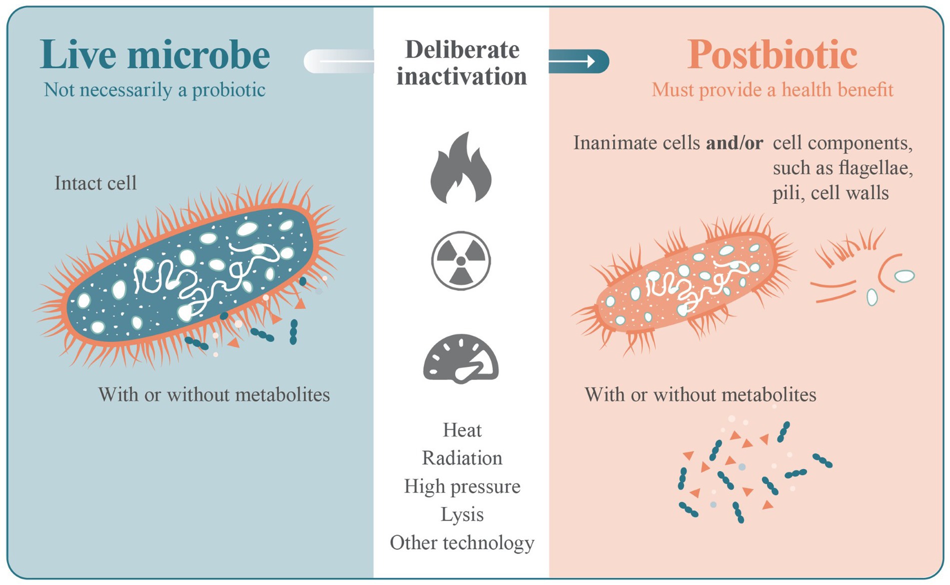 postbiotic image