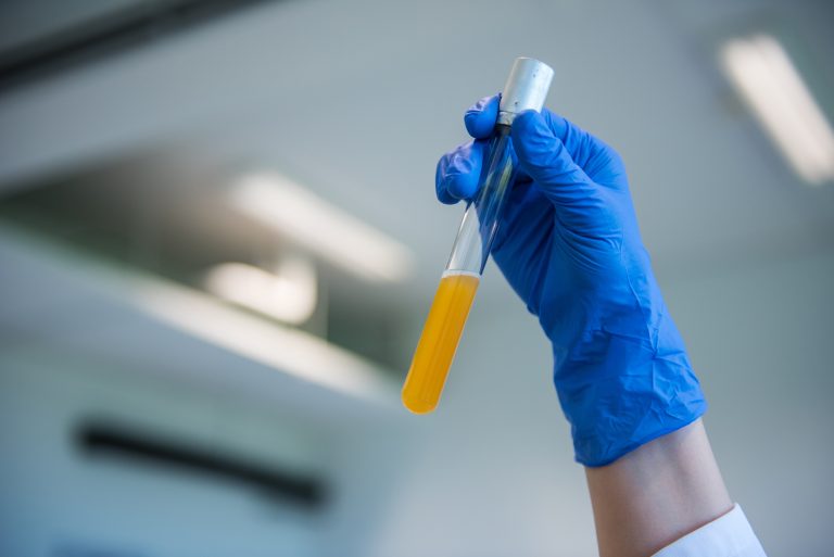 News and Blog 41 ISAPP LAB 046