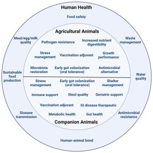 Use of biotics in animals: impact on nutrition, health, and food production 1 animal biotics