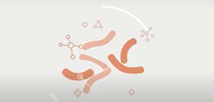 What is a prebiotic? 4 pre