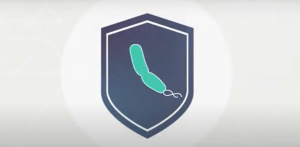 Are all probiotics the same? 2 pro